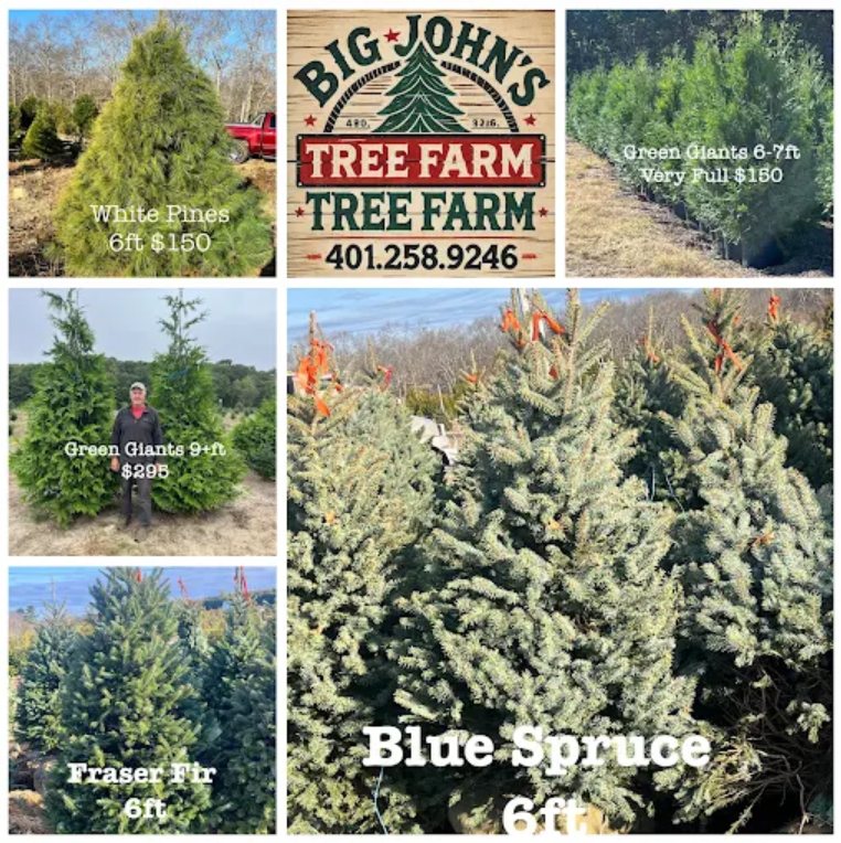 Big John's Tree Farm photo 27
