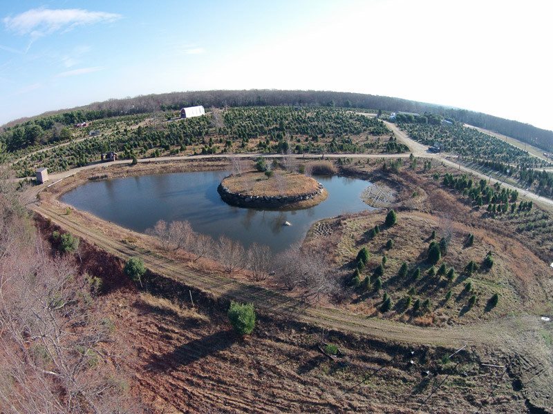 Big John's Tree Farm photo 3