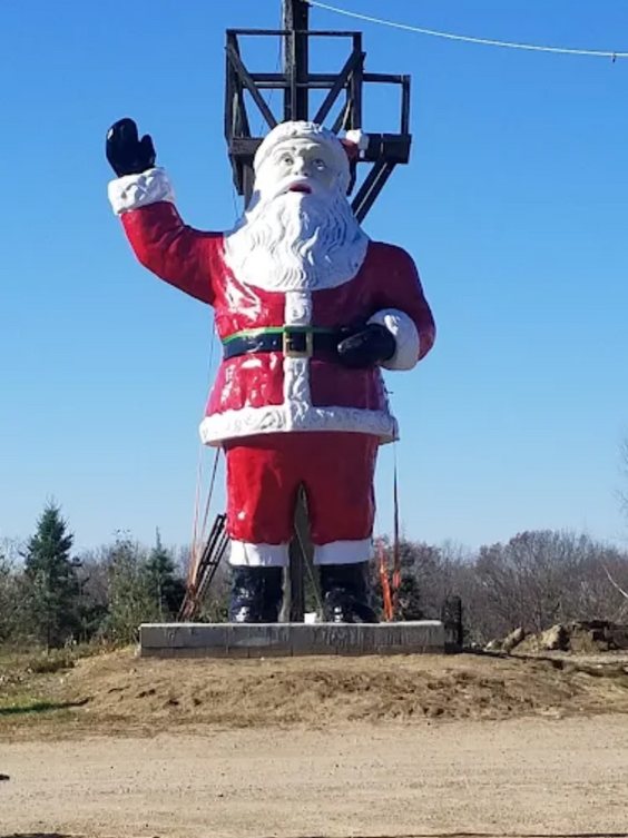 Big John's Tree Farm photo 32