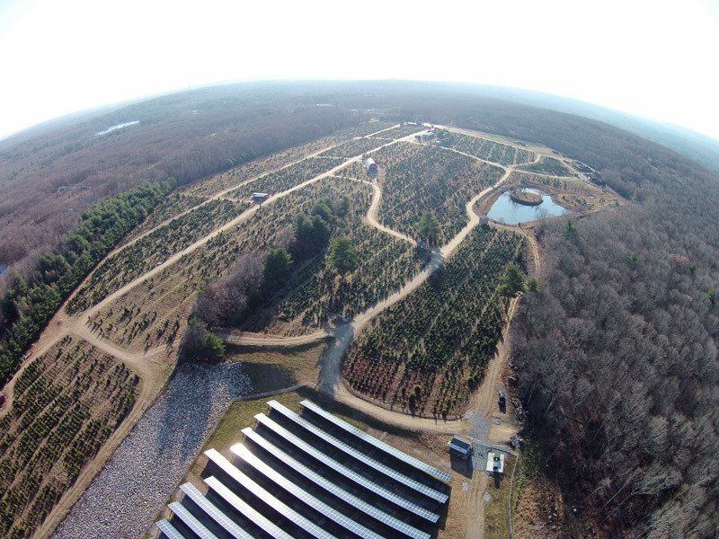Big John's Tree Farm photo 5